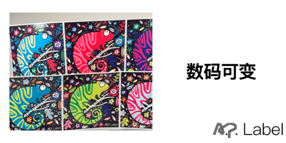 印刷用双面胶布_印刷双层胶贴纸干什么用的_双层不干胶印刷贴纸